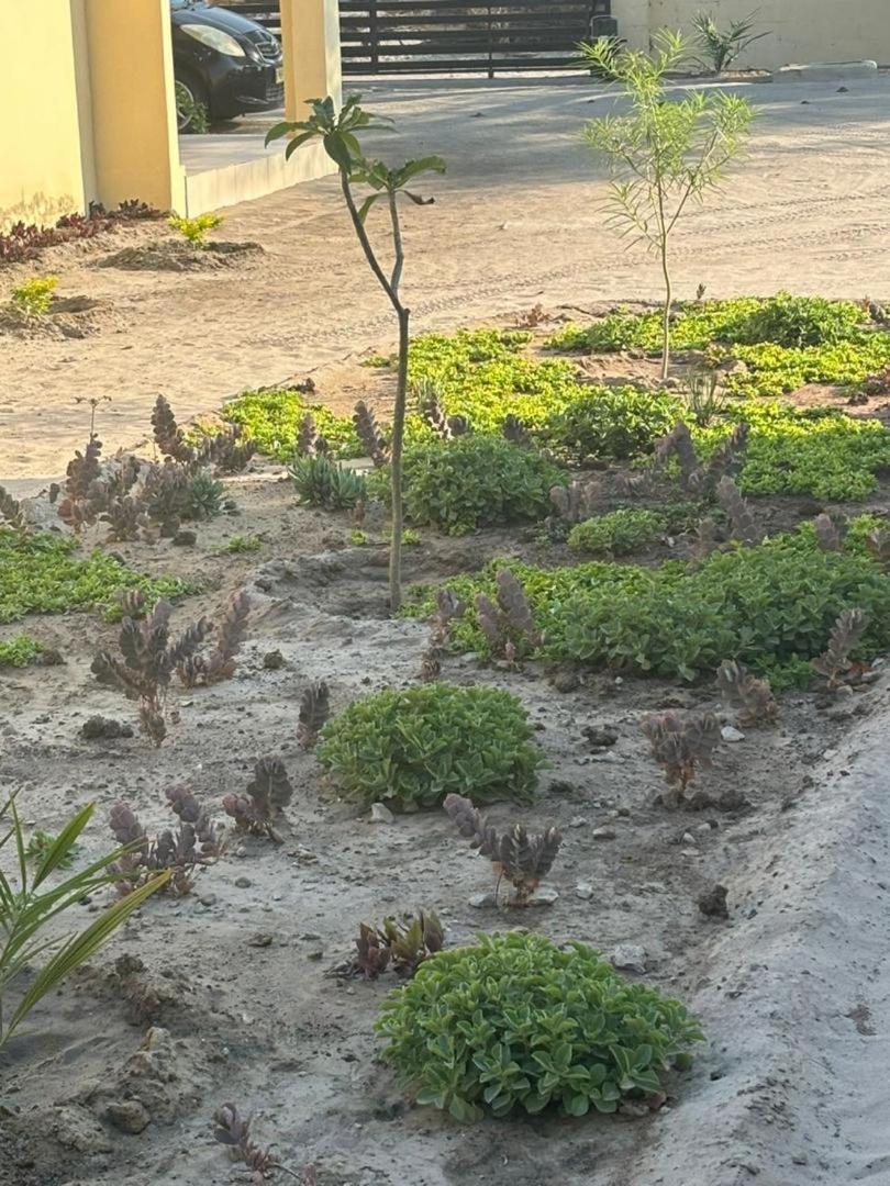 Thito Manor Apartment Maun Bagian luar foto